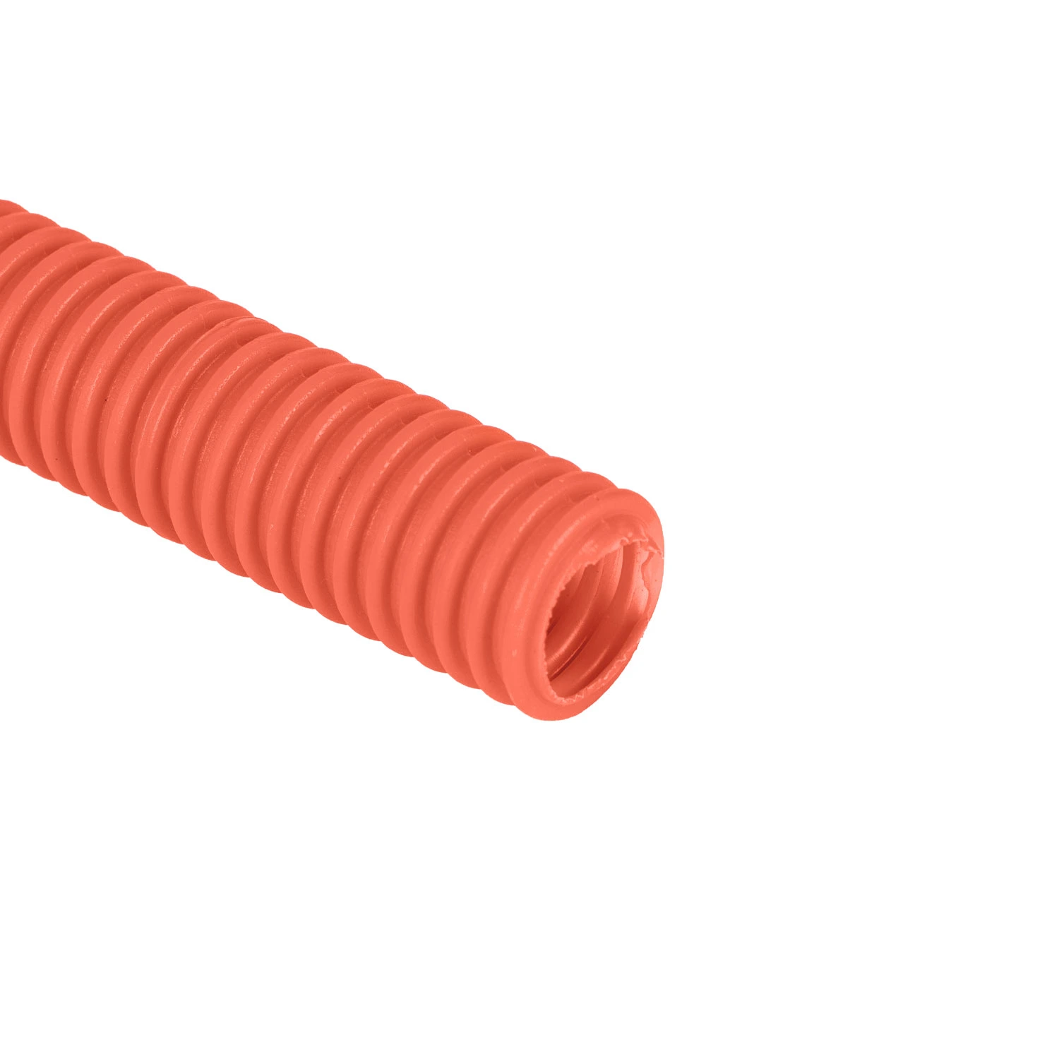 Jarjur PE (Orange)
